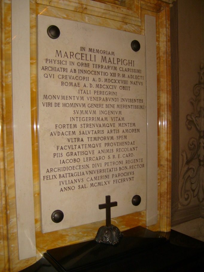 Marcello Malpighi's tomb 2, Bologna, Italy.JPG